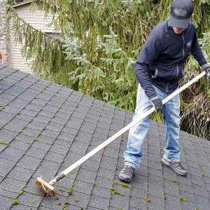 Roof Moss Removal Services in Everett WA